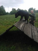 /album/galeria/wp-000365-jpg/