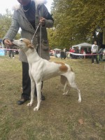 /album/galeria/wp-001127-jpg/