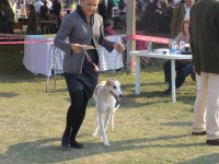 /album/galeria/a57222-383779655029723-870670042-o-jpg/