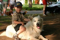 /album/galeria/a223960-325778270829862-14931542-n-jpg/