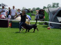 /album/galeria/a240443-133307346743623-7149236-o-jpg/