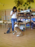 /album/galeria/a413558-325881507486205-546014419-o-jpg/